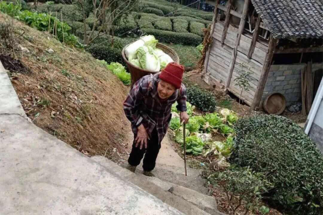 點擊查看原圖