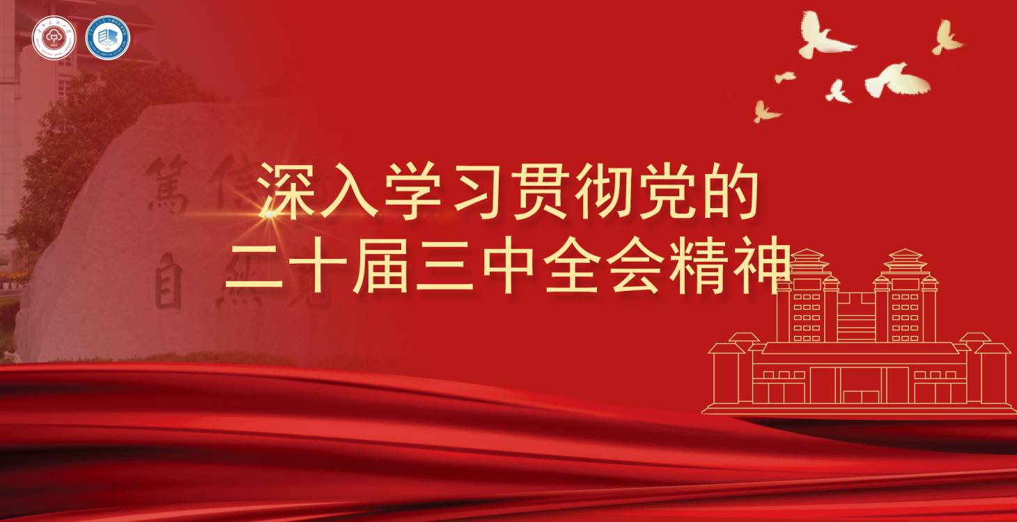 頂部輪播圖